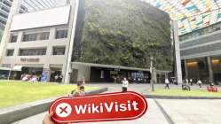 Benton Markets Singapur  Doğrulandı:  Fiziksel Varlık Bulunamadı