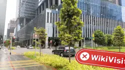 Seventy Brokers Singapur Verificado: No se encontró presencia física