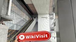 OFX Singapur  Doğrulandı:  Fiziksel Varlık Bulunamadı