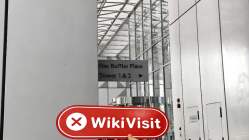 Gemex Holding Corp Singapur Doğrulandı: Fiziksel Varlık Bulunamadı