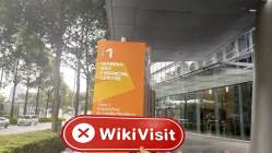 FLAREGAIN Singapur  Verifiziert:  Keine physische Präsenz festgestellt