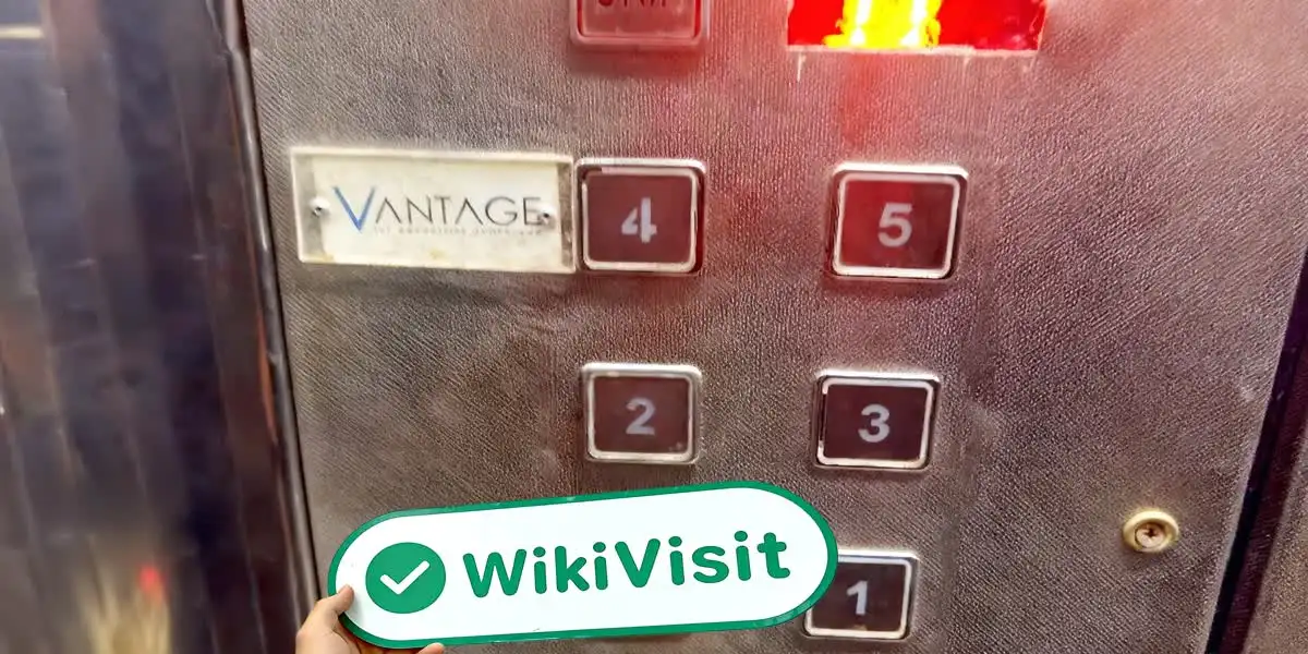 VANTAGE Mısır  Doğrulandı:  Operasyonel Ofis Onaylandı