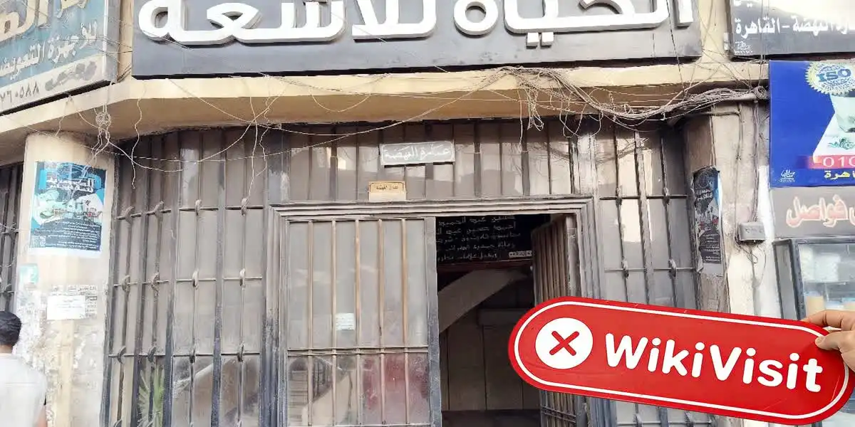 TFS SOLUTION مصر تصدیق شدہ: جسمانی موجودگی نہیں ملی
