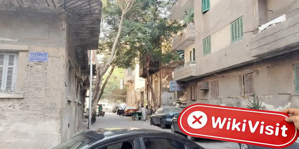 MBCFX مصر تصدیق شدہ: کوئی جسمانی موجودگی نہیں ملی