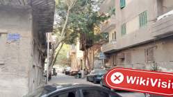 MBCFX 이집트  확인됨: 물리적 존재 없음