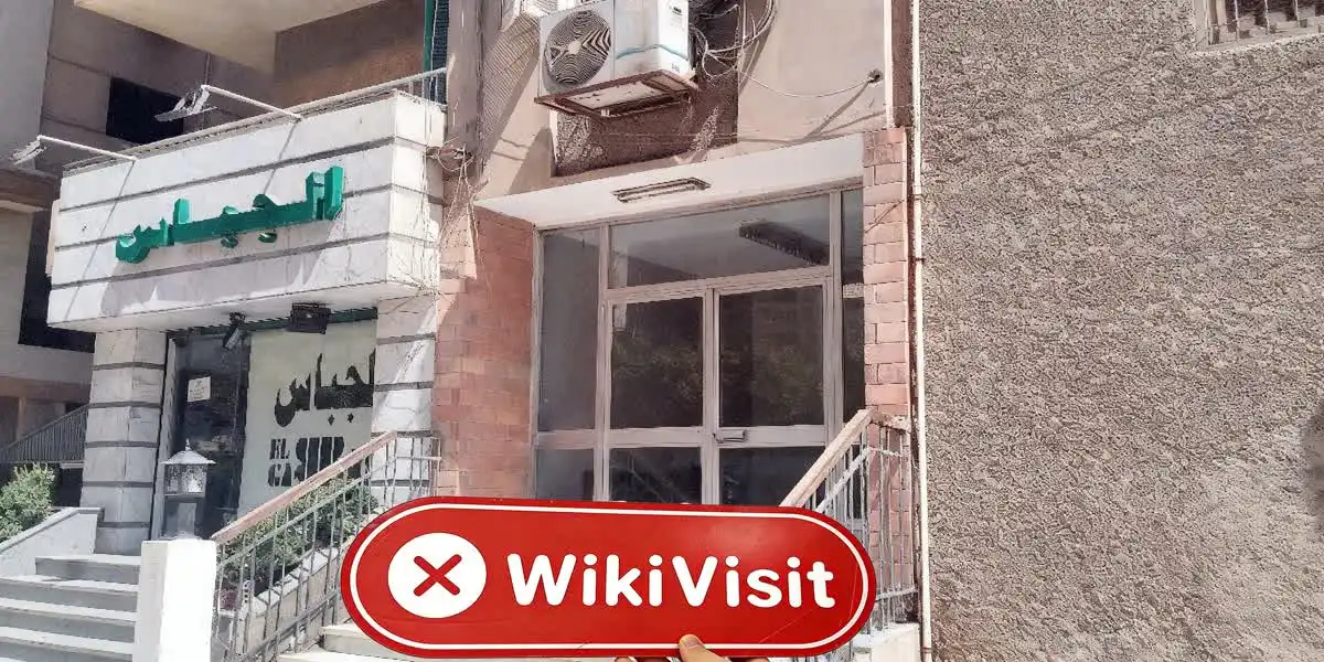 Horizon مصر تصدیق شدہ: کوئی جسمانی موجودگی نہیں ملی