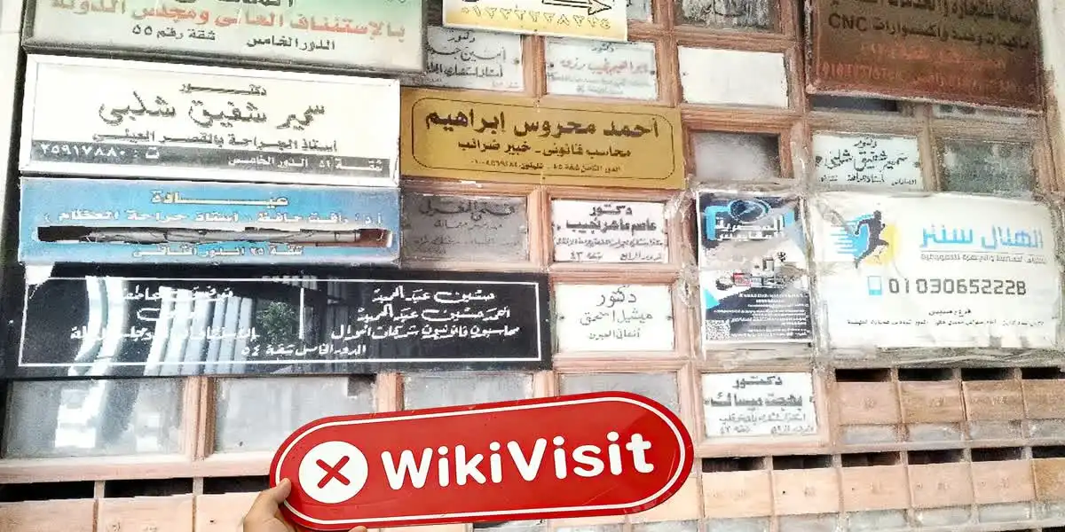TFS CAPITAL مصر تصدیق شد: جسمانی موجودگی نہیں ملی