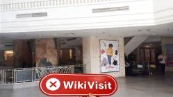 DB Investing Egitto  Verificato: Nessuna Presenza Fisica Trovata