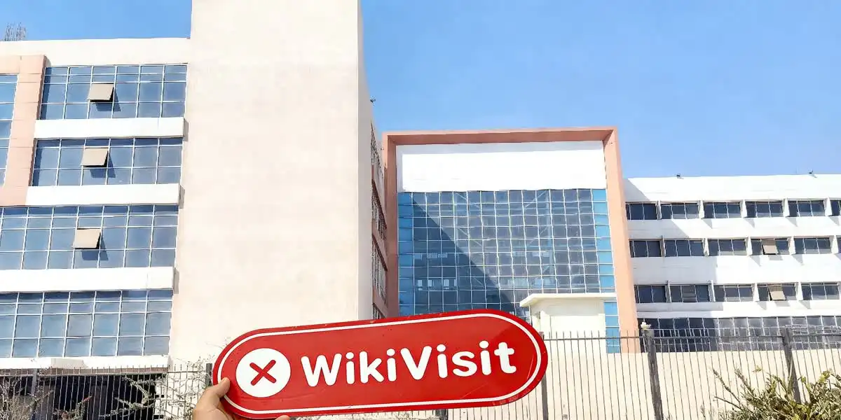 Maxxi Markets Ägypten  Verifiziert:  Keine physische Präsenz festgestellt