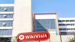 Maxxi Markets Egitto  Verificato: Nessuna Presenza Fisica Trovata