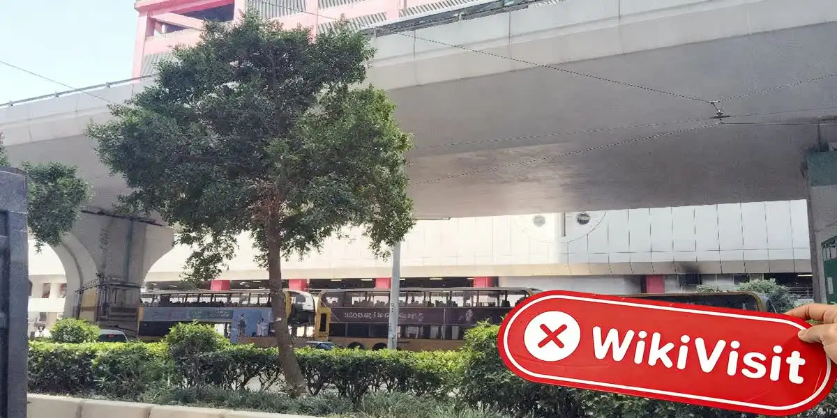DAYOU FUTURES Hong Kong  Verified:  No Physical Presence Found