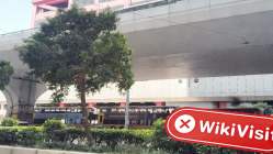 DAYOU FUTURES Hong Kong  Doğrulandı:  Fiziksel Varlık Bulunamadı