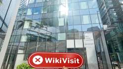 Market Securities 香港  驗證：未找到實體存在