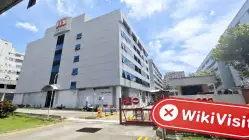 IDS Venture Singapore  Verified:  No Physical Presence Found