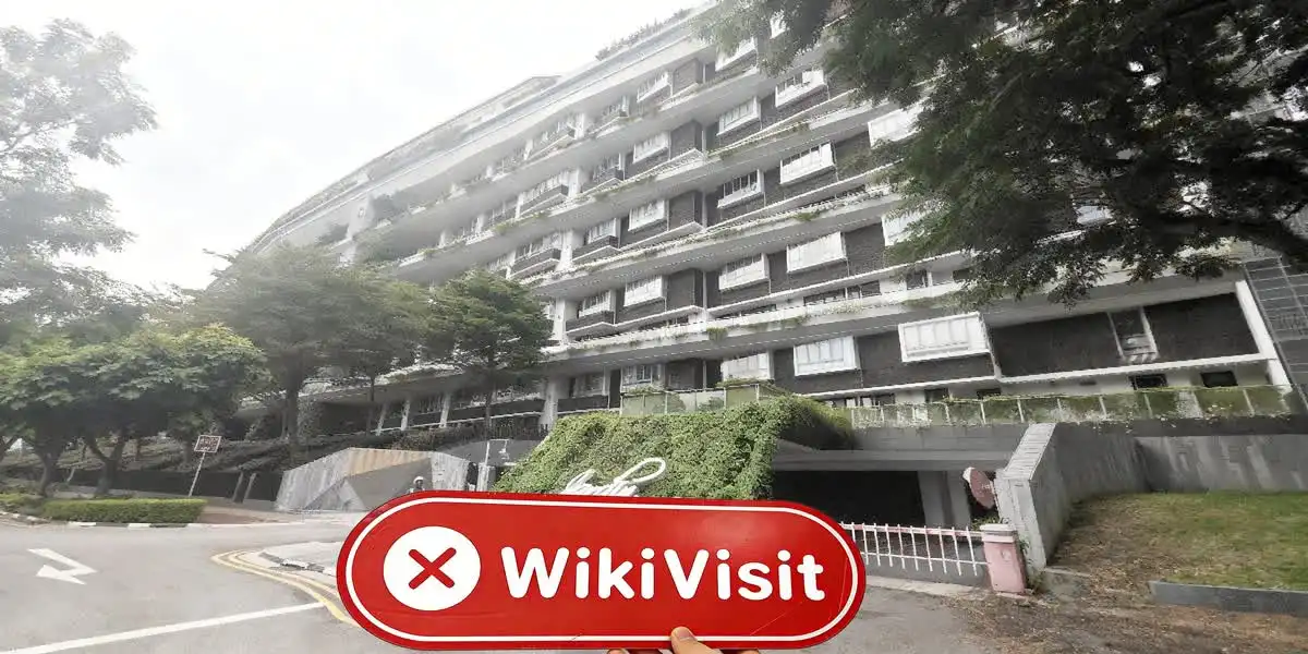 IBIZ 新加坡  驗證：未發現實際存在