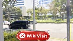 Tfxtradeoptions シンガポール  確認済み: 物理的な存在は確認されませんでした