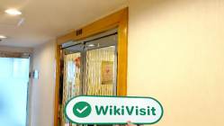 Zhong Yang Financial Group 홍콩 확인됨: 운영 사무실 확인 완료