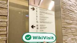 中国香港实地探访外汇交易商Sun Long Bullion 存在真实展业场所