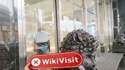 Direct Spot Hong Kong  Terverifikasi: Tidak Ditemukan Kehadiran Fisik