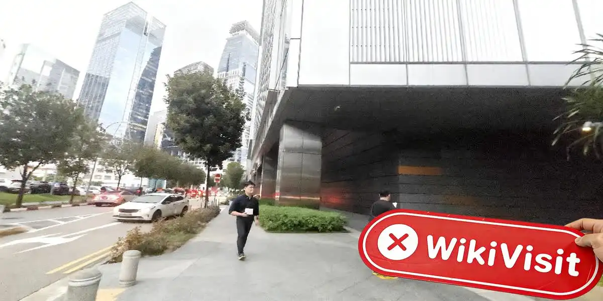 Topmiliassetglobal Singapore  Verified:  No Physical Presence Found
