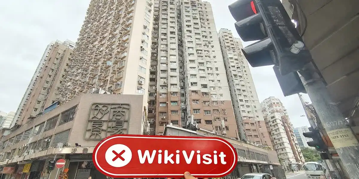 中国香港实地探访外汇交易商Cudrania Capital 不存在真实展业场所