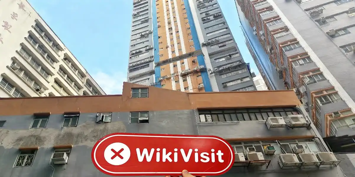 Fasonla Tech 香港 驗證：未發現實際存在