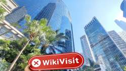 TYLENOL Hongkong Verifiziert: Keine physische Präsenz festgestellt