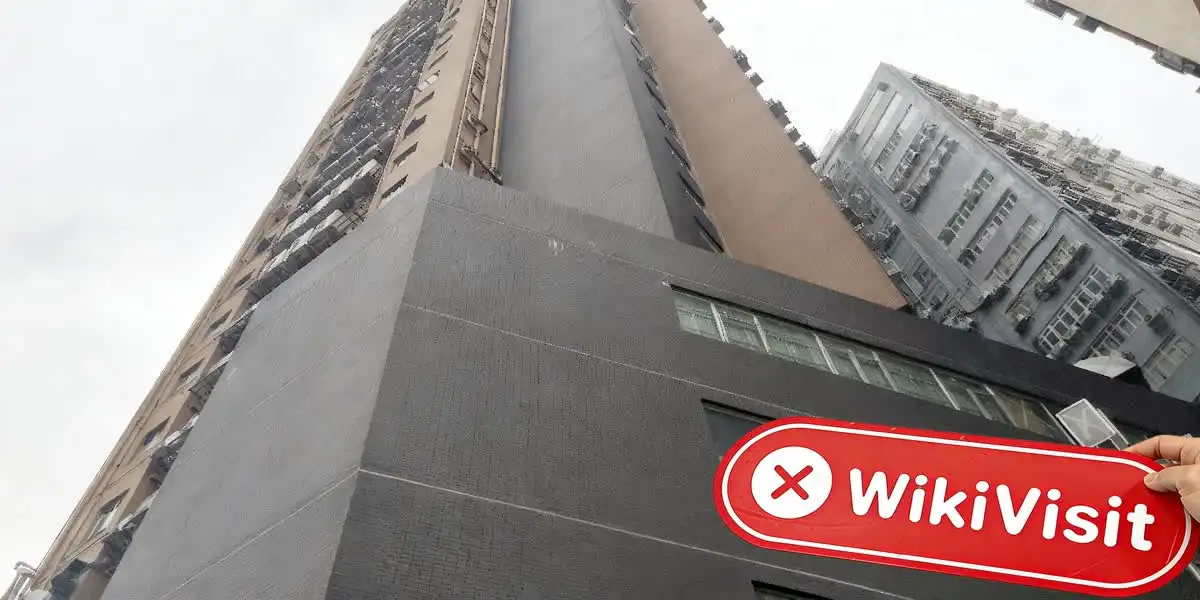 Wintersnow Limited Hong Kong Doğrulandı: Fiziksel Varlık Bulunamadı