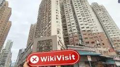 Yescom Financial Limited Hồng Kông  Đã xác minh:  Không tìm thấy sự hiện diện thực tế