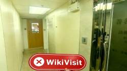 BayView Brokers 홍콩  확인됨:  물리적 존재 없음