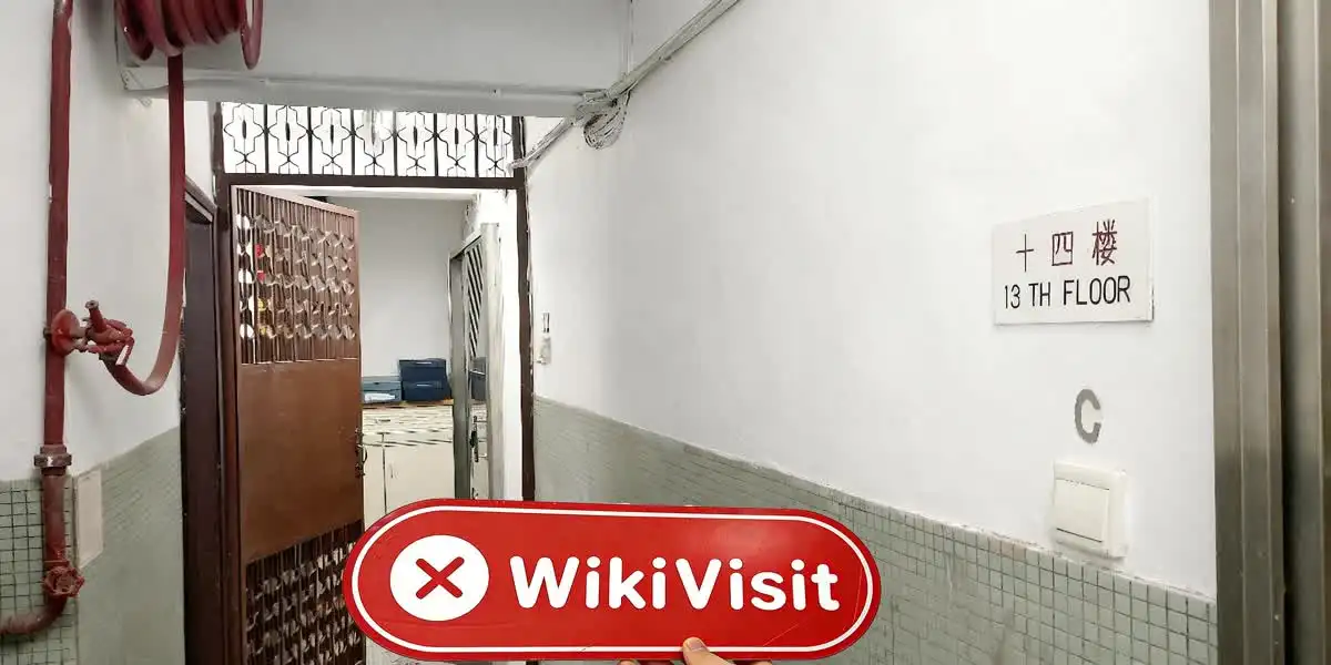 MTrade Plus ہانگ کانگ تصدیق شدہ: کوئی جسمانی موجود نہیں ملا