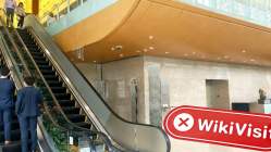 Red Maple Trading 香港 驗證：未發現實際存在