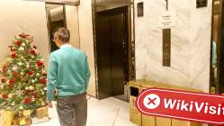 Tibra Hong Kong  Napatunayan:  Walang Pisikal na Presensya na Natagpuan