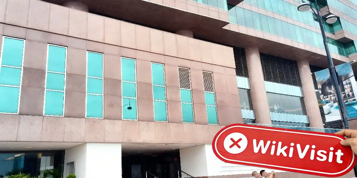 Rentalzi Hong Kong Verificato: Nessuna Presenza Fisica Trovata
