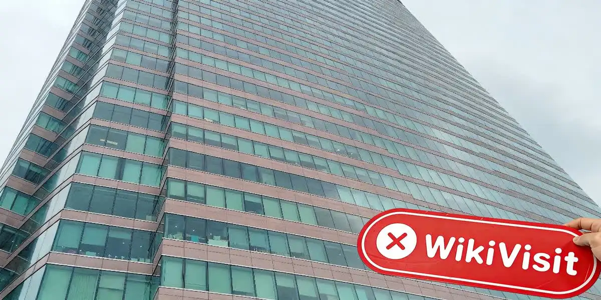 Rentalzi Hong Kong Verificato: Nessuna Presenza Fisica Trovata