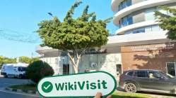 RoboForex Chipre Verificado: Escritório Operacional Confirmado