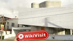 Elegantopex Kıbrıs  Doğrulandı:  Fiziksel Varlık Bulunamadı