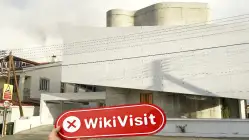 Elegantopex قبرص تصدیق شدہ: جسمانی موجودگی نہیں پائی گئی