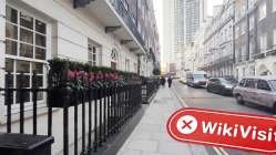 Lilium Reino Unido Verificado: Presença Física Não Encontrada