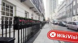 Lilium برطانیہ تصدیق شدہ: جسمانی موجودگی نہیں ملی