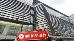 英国实地探访外汇交易商Trade Market Cup 不存在真实展业场所