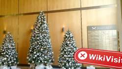 JIP GLOBAL Germany  Verified:  No Physical Presence Found