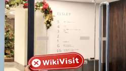 英国实地探访外汇交易商BVBFX 不存在真实展业场所