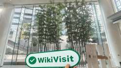 中国香港实地探访外汇交易商Eclipse TRADING 存在真实展业场所