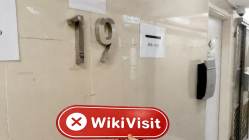 Penzo 香港  確認済み:  物理的な存在は確認されていません