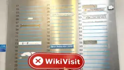 Golden Day Hồng Kông  Đã xác minh:  Không tìm thấy sự hiện diện thực tế