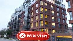 荷兰实地探访外汇交易商Neo Financial Capital 不存在真实展业场所