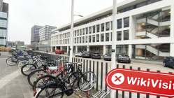 GUNVOR Netherlands  Verified:  No Physical Presence Found