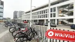 荷兰实地探访外汇交易商GUNVOR 不存在真实展业场所