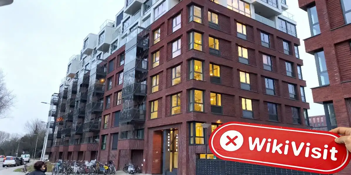 IBS Asset نیدرلینڈز تصدیق شدہ: کوئی جسمانی موجودگی نہیں ملی